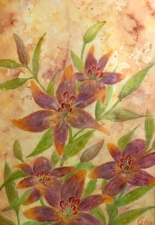Lilien